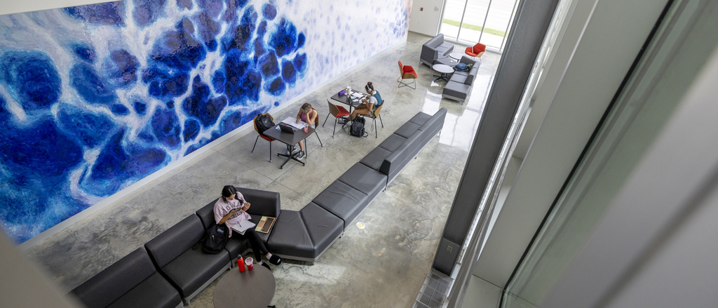 photos of common area with students studying