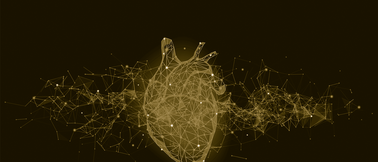 illustration of heart with nodes
